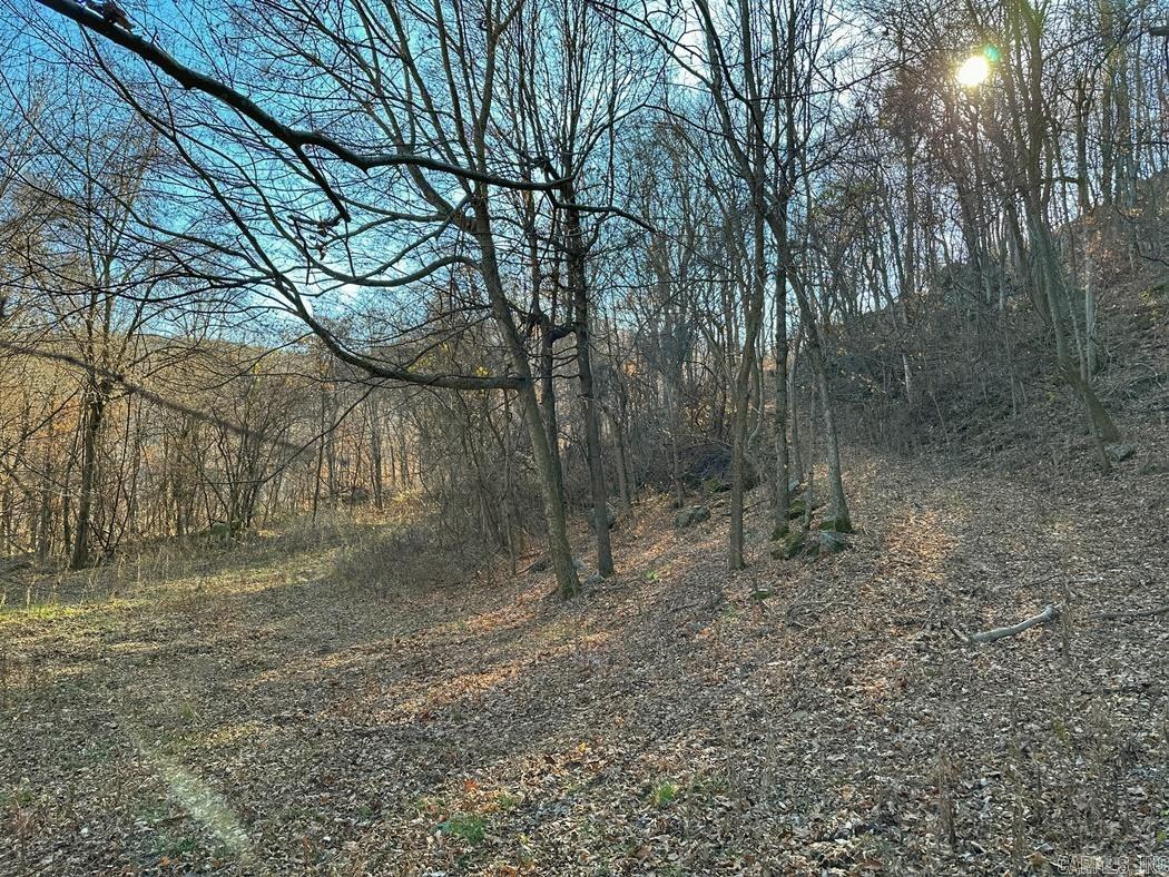 1479  County Road 972  Compton, AR