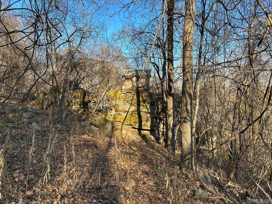 1479  County Road 972  Compton, AR