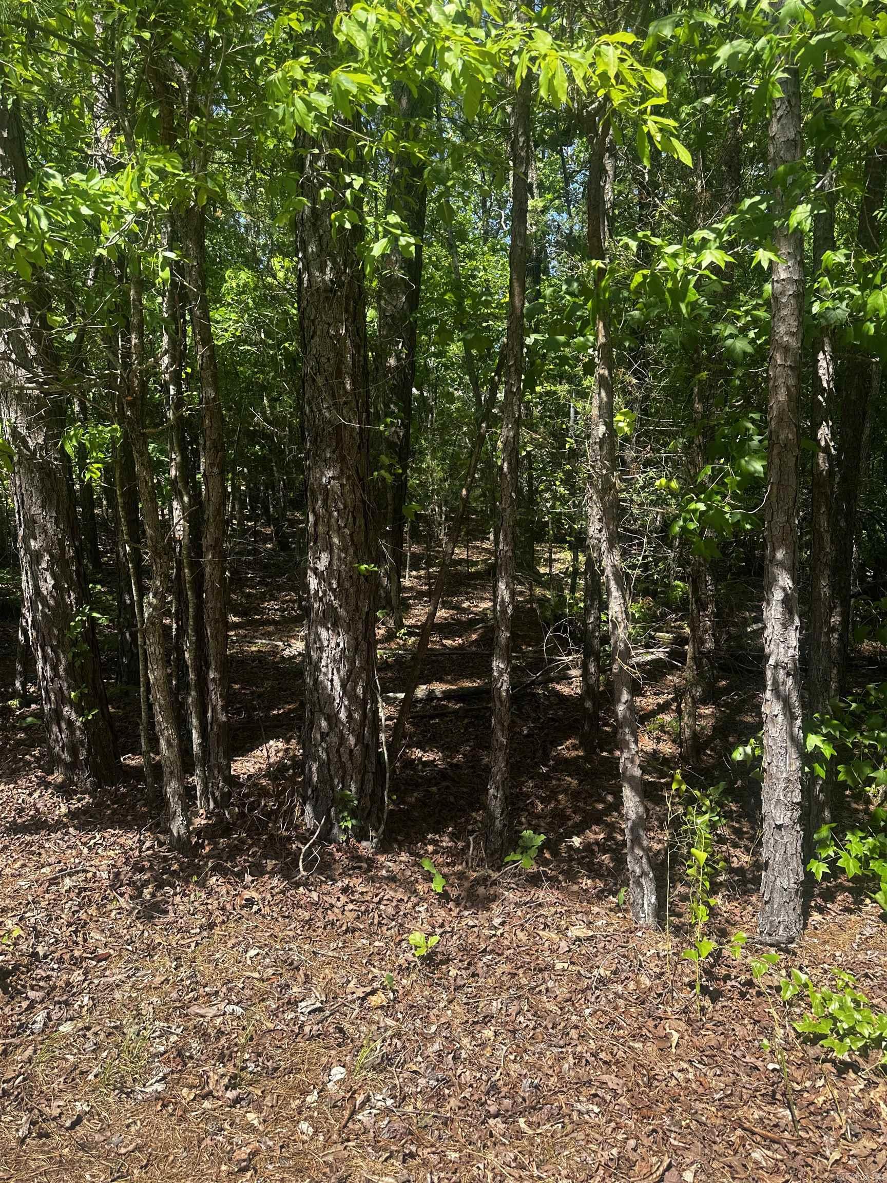 23  Andorra  Hot Springs Village, AR