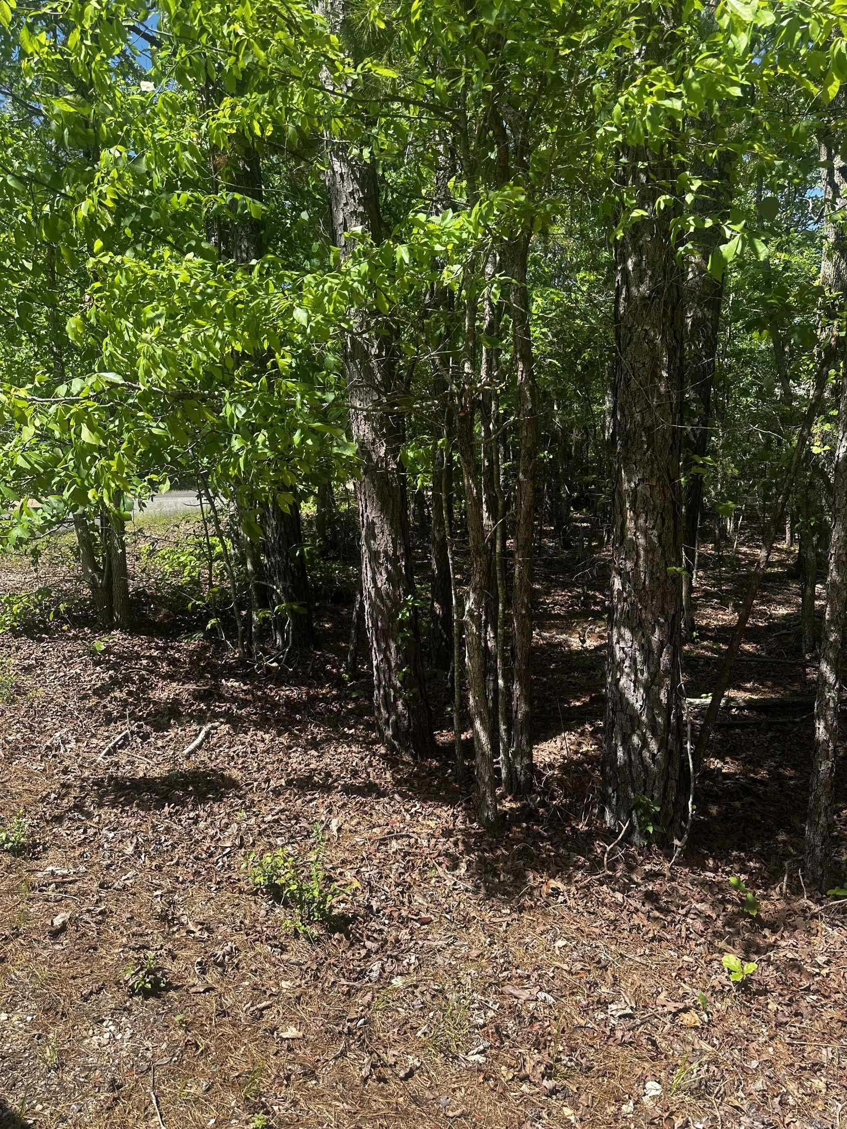 23  Andorra  Hot Springs Village, AR
