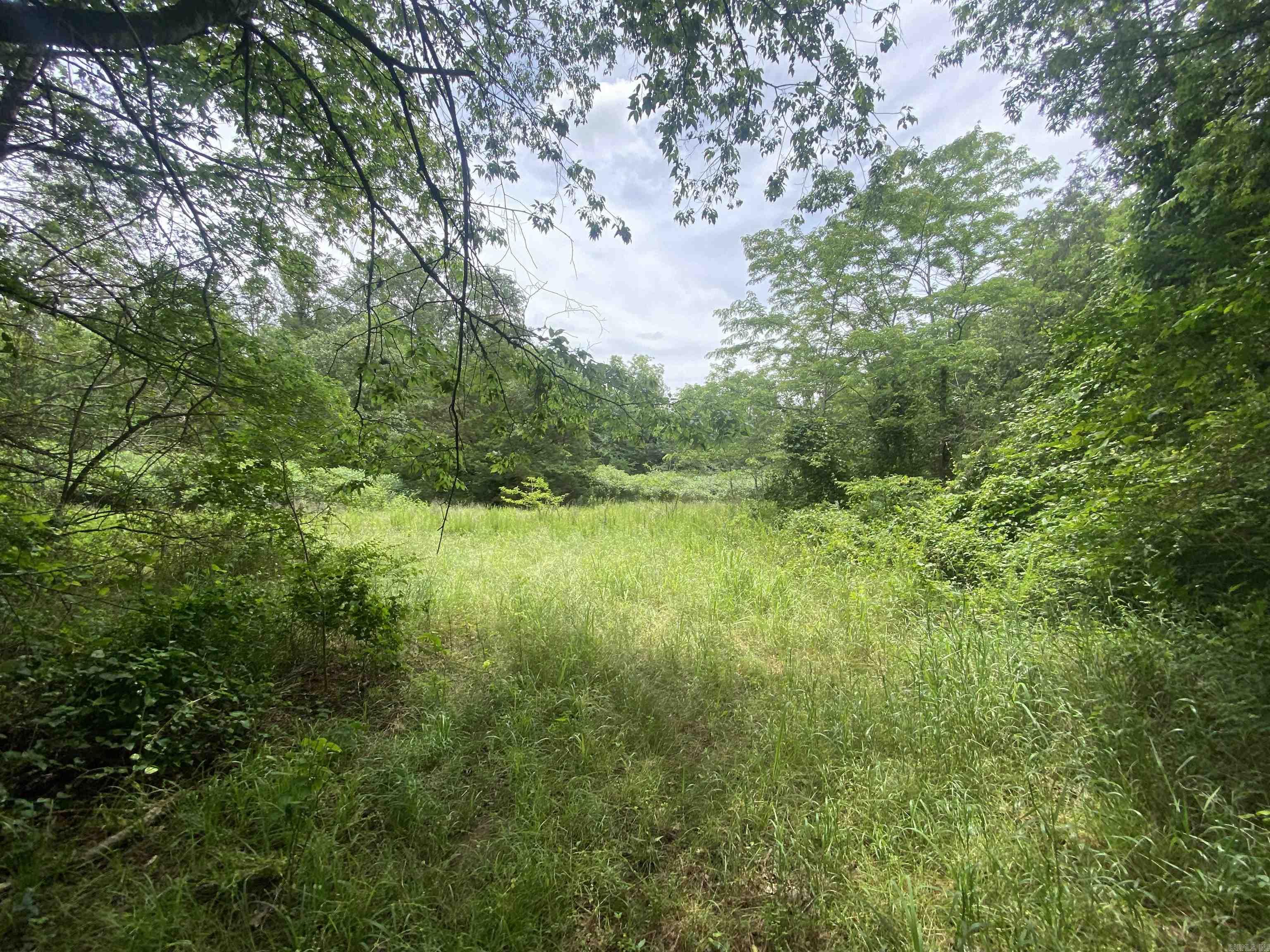 TBD  Stevenson  Pencil Bluff, AR