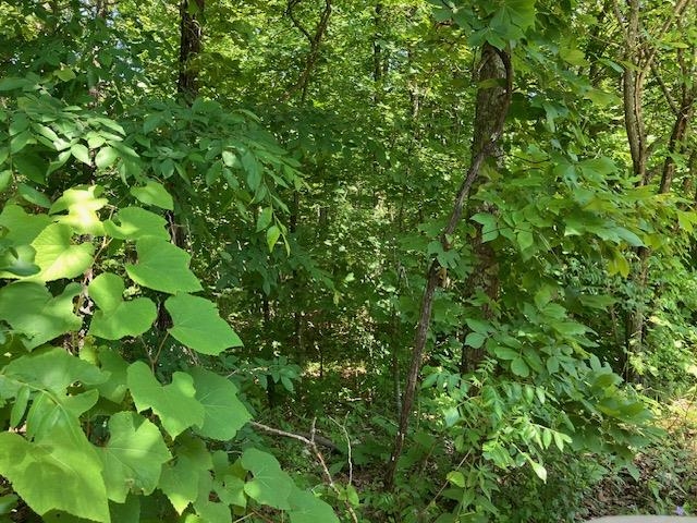 Lots 6 & 7  Hillview Addition  Mammoth Spring, AR