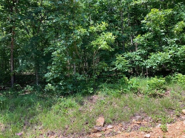 Lots 6 & 7  Hillview Addition  Mammoth Spring, AR