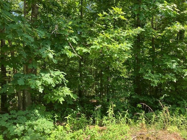 Lots 6 & 7  Hillview Addition  Mammoth Spring, AR