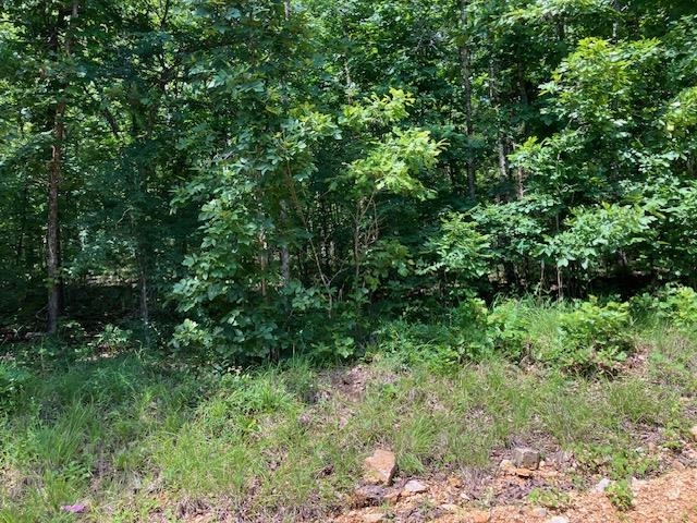Lots 6 & 7  Hillview Addition  Mammoth Spring, AR