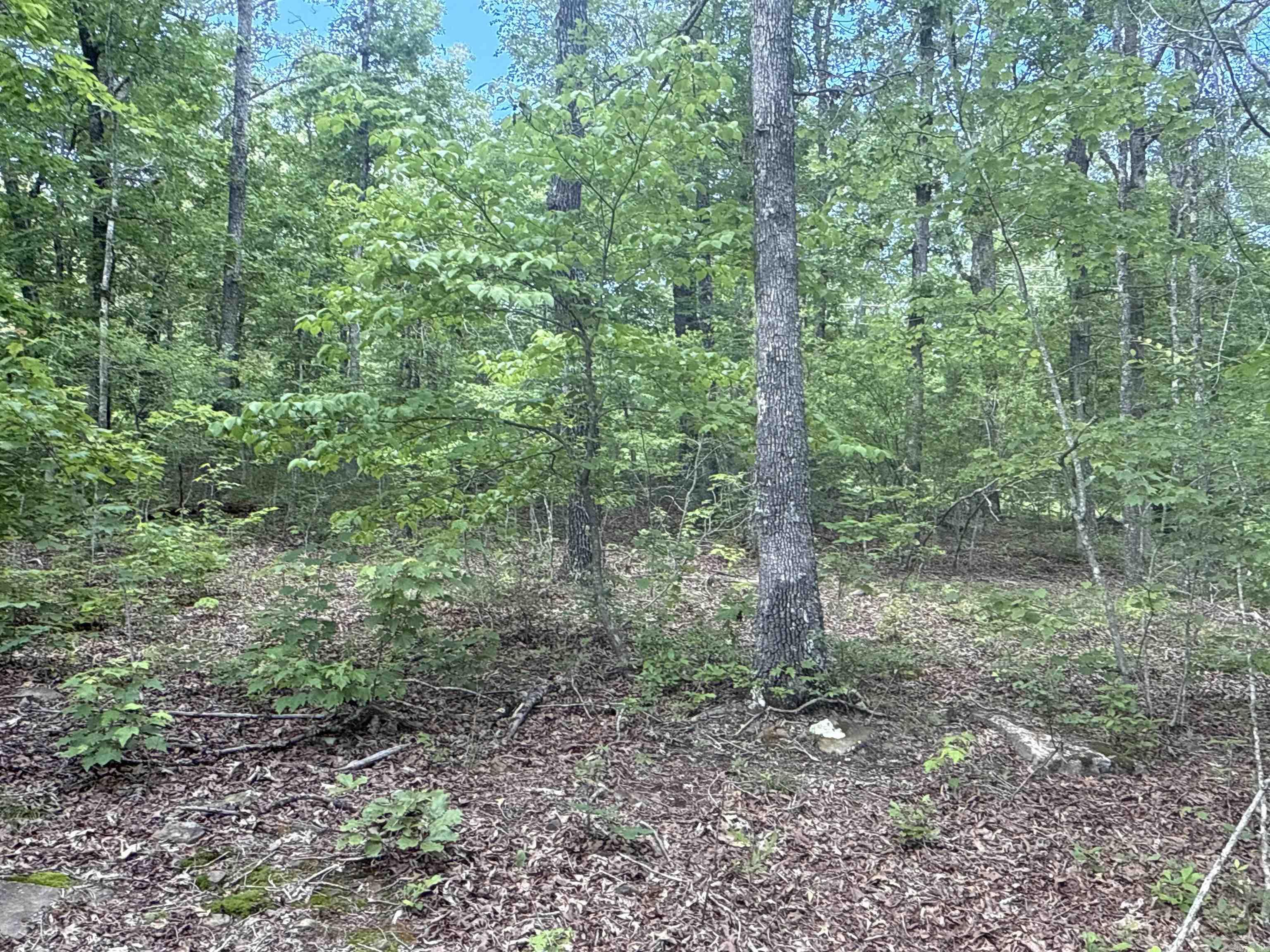 0  Red River  Marshall, AR