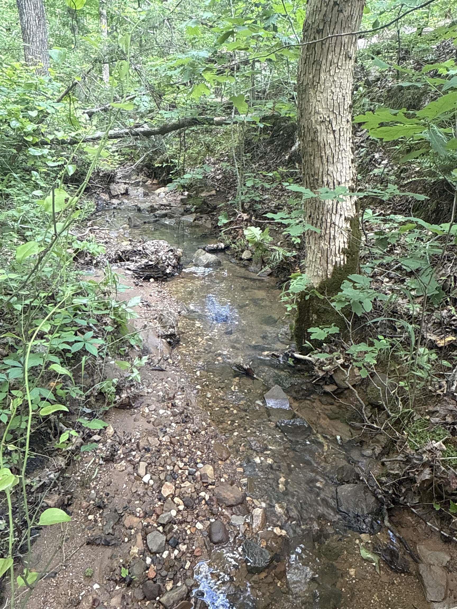 0  Red River  Marshall, AR