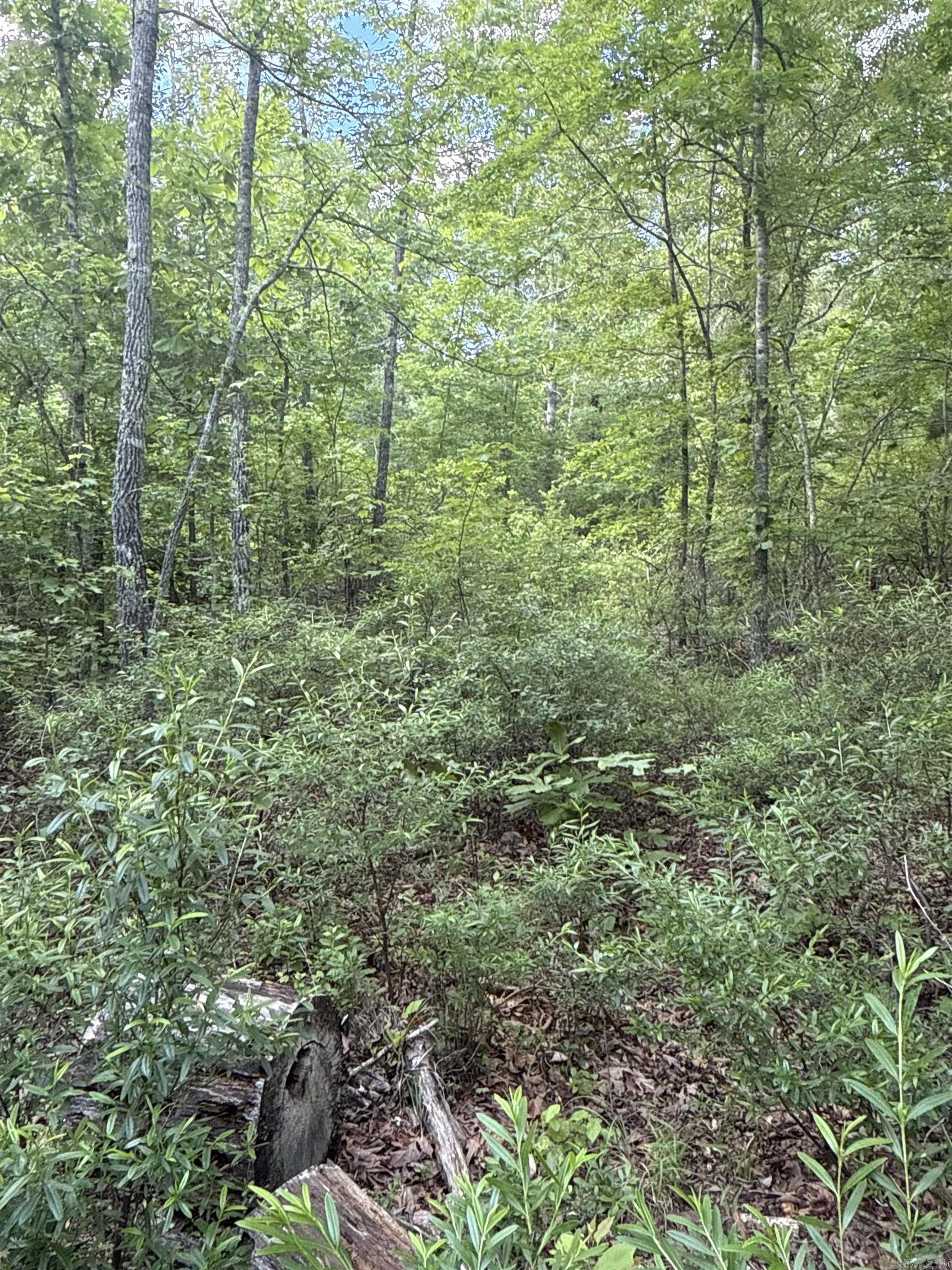 0  Red River  Marshall, AR