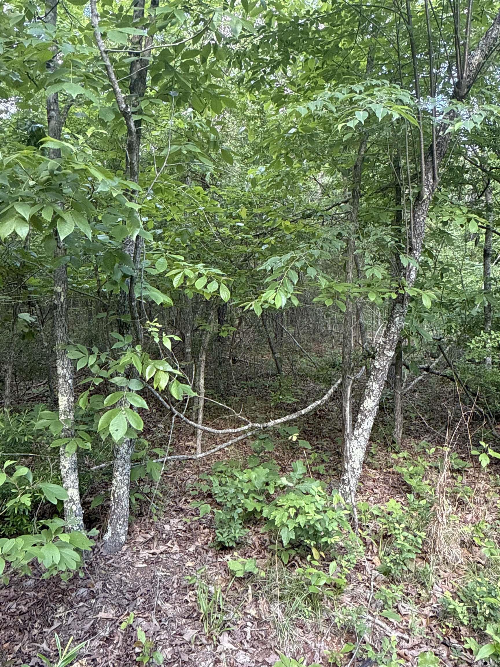 0  Red River  Marshall, AR