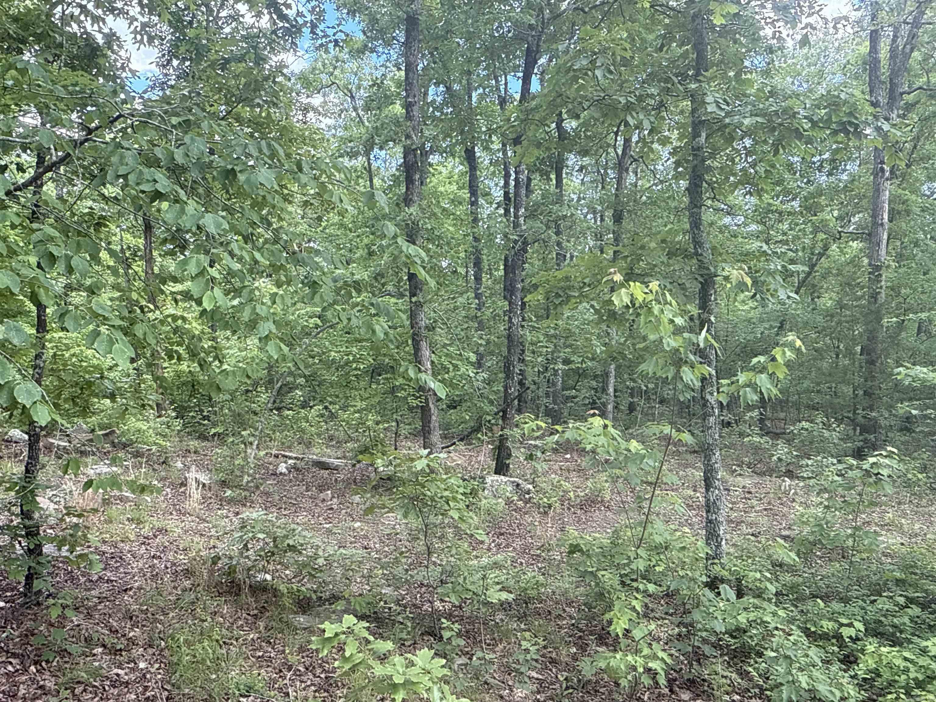 0  Red River  Marshall, AR