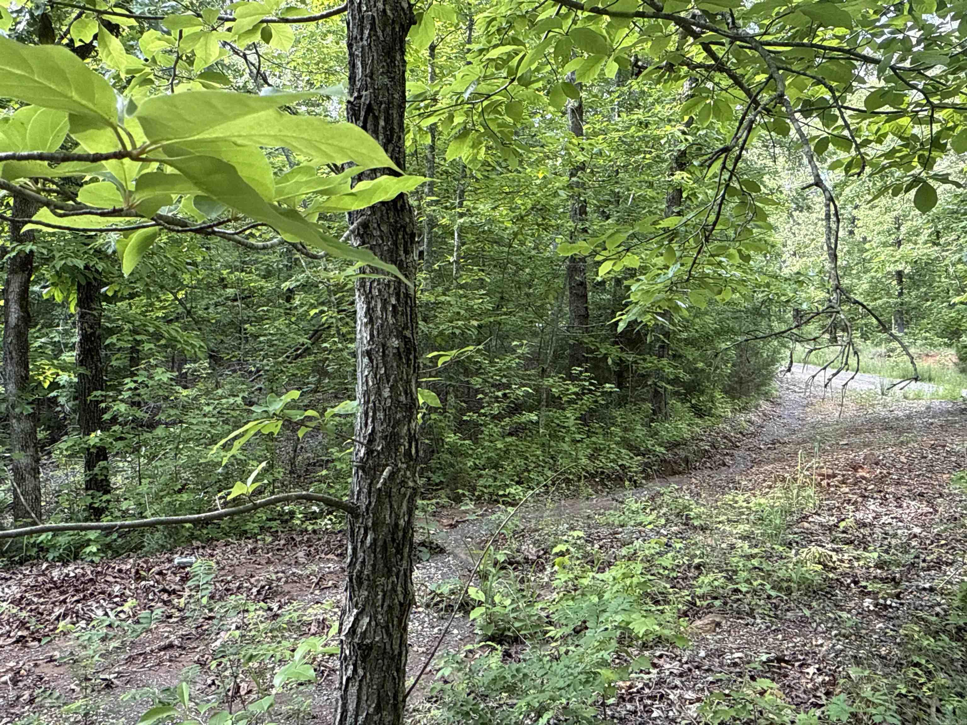 0  Red River  Marshall, AR