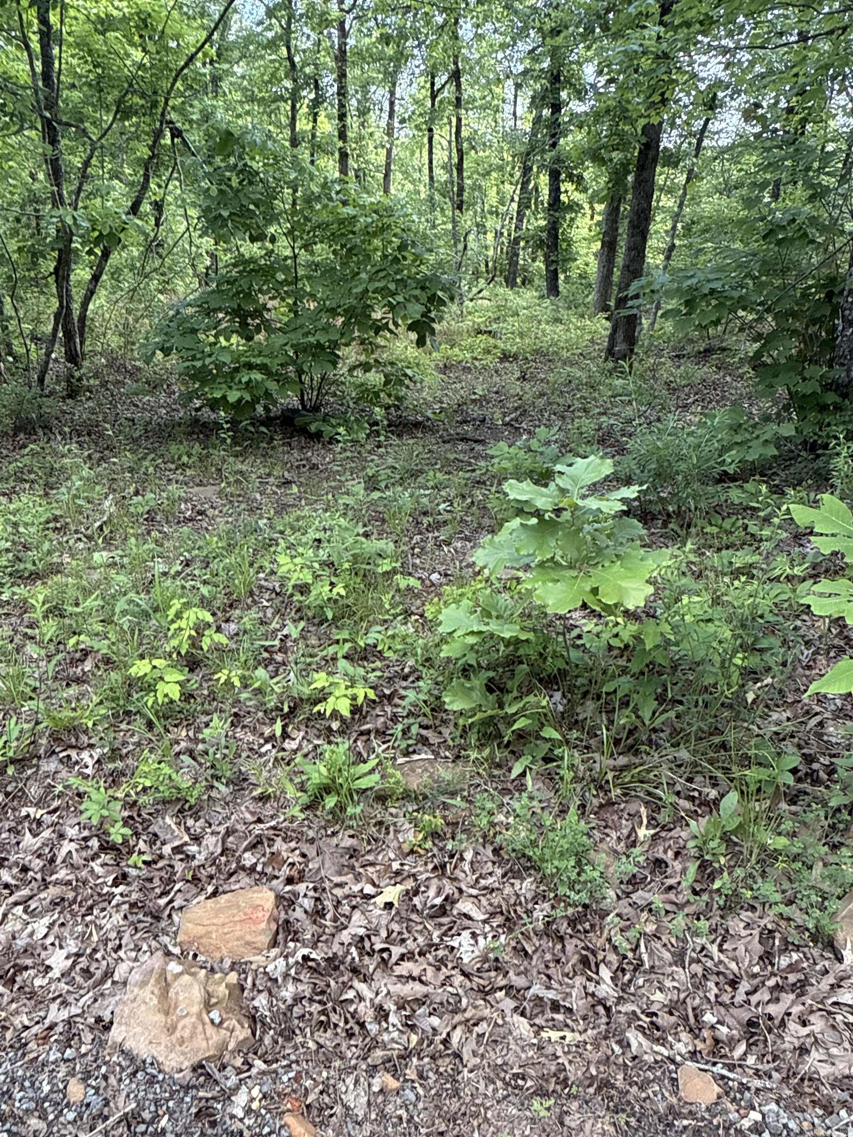 0  Red River  Marshall, AR