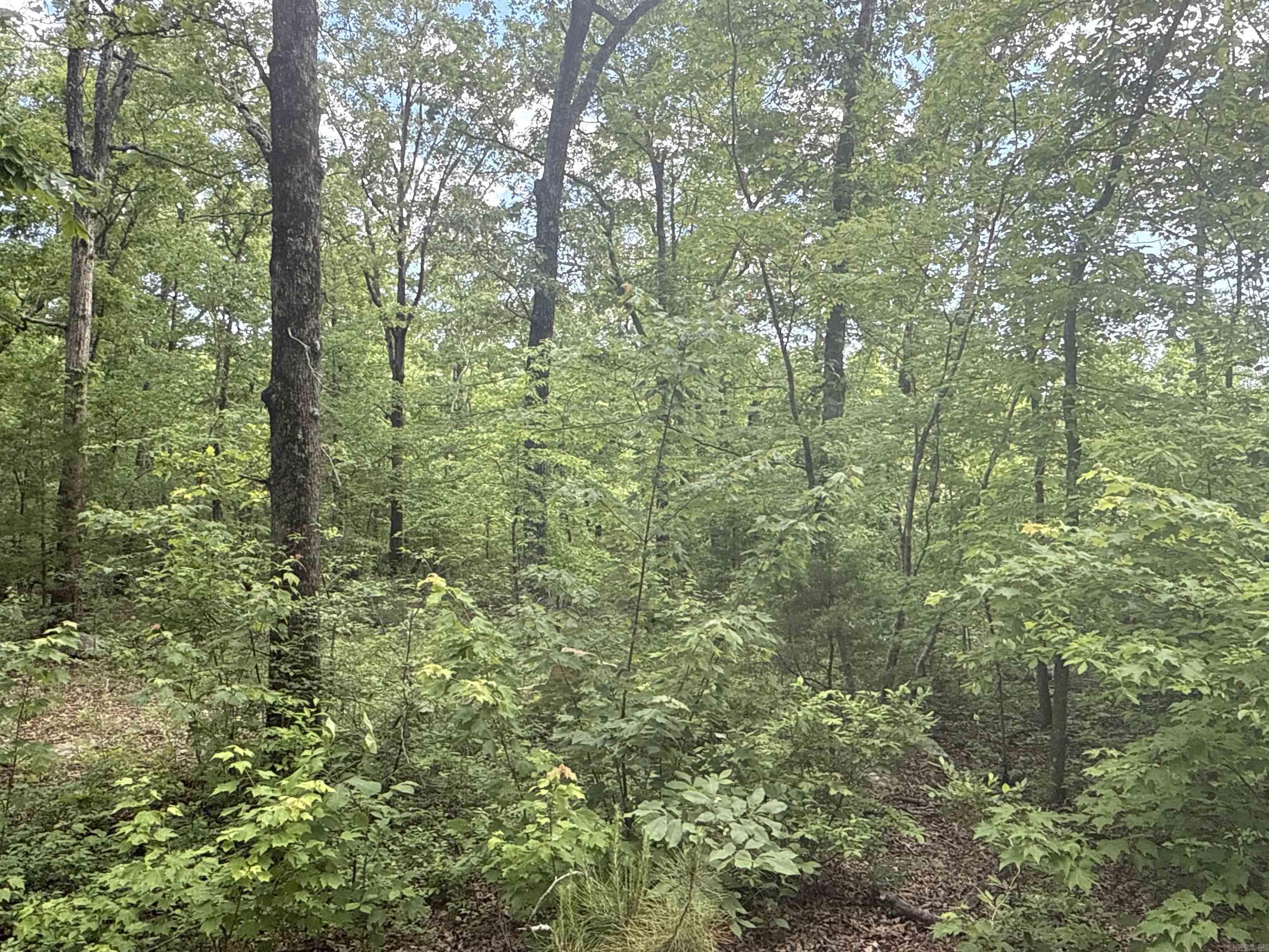 0  Red River  Marshall, AR