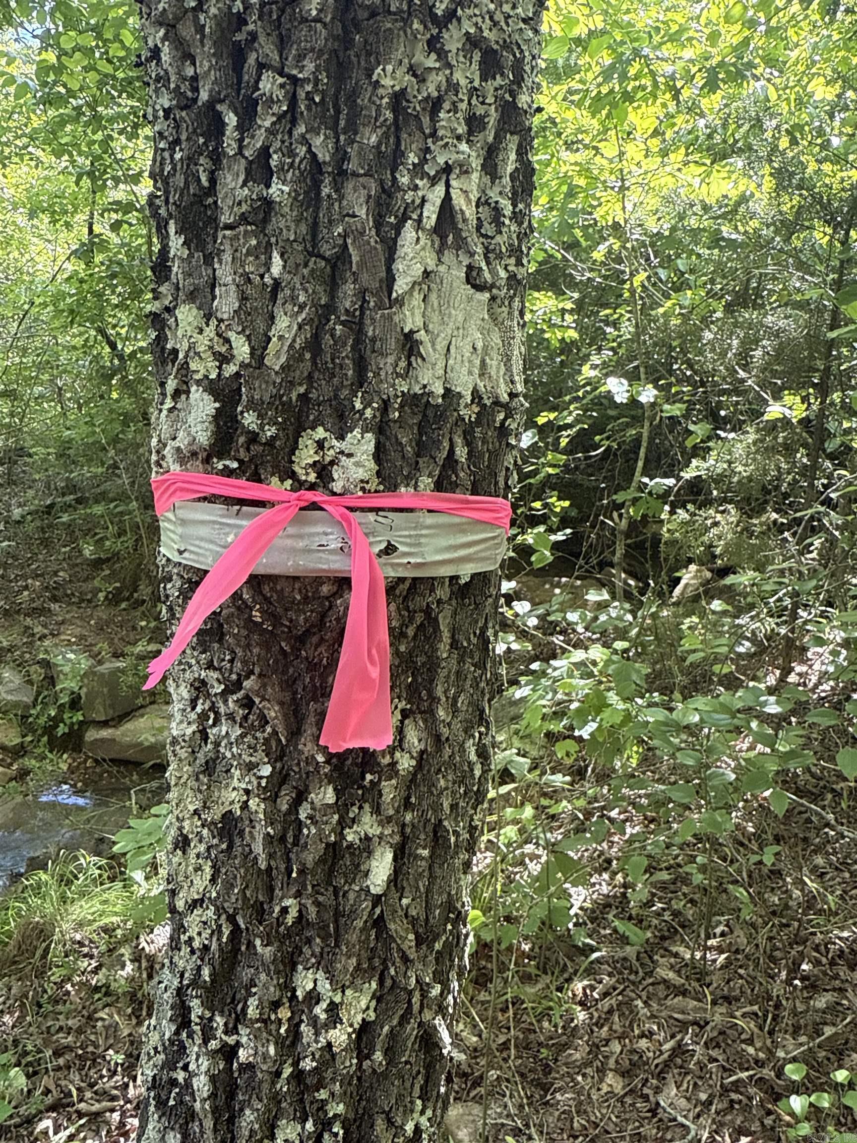 0  Red River  Marshall, AR