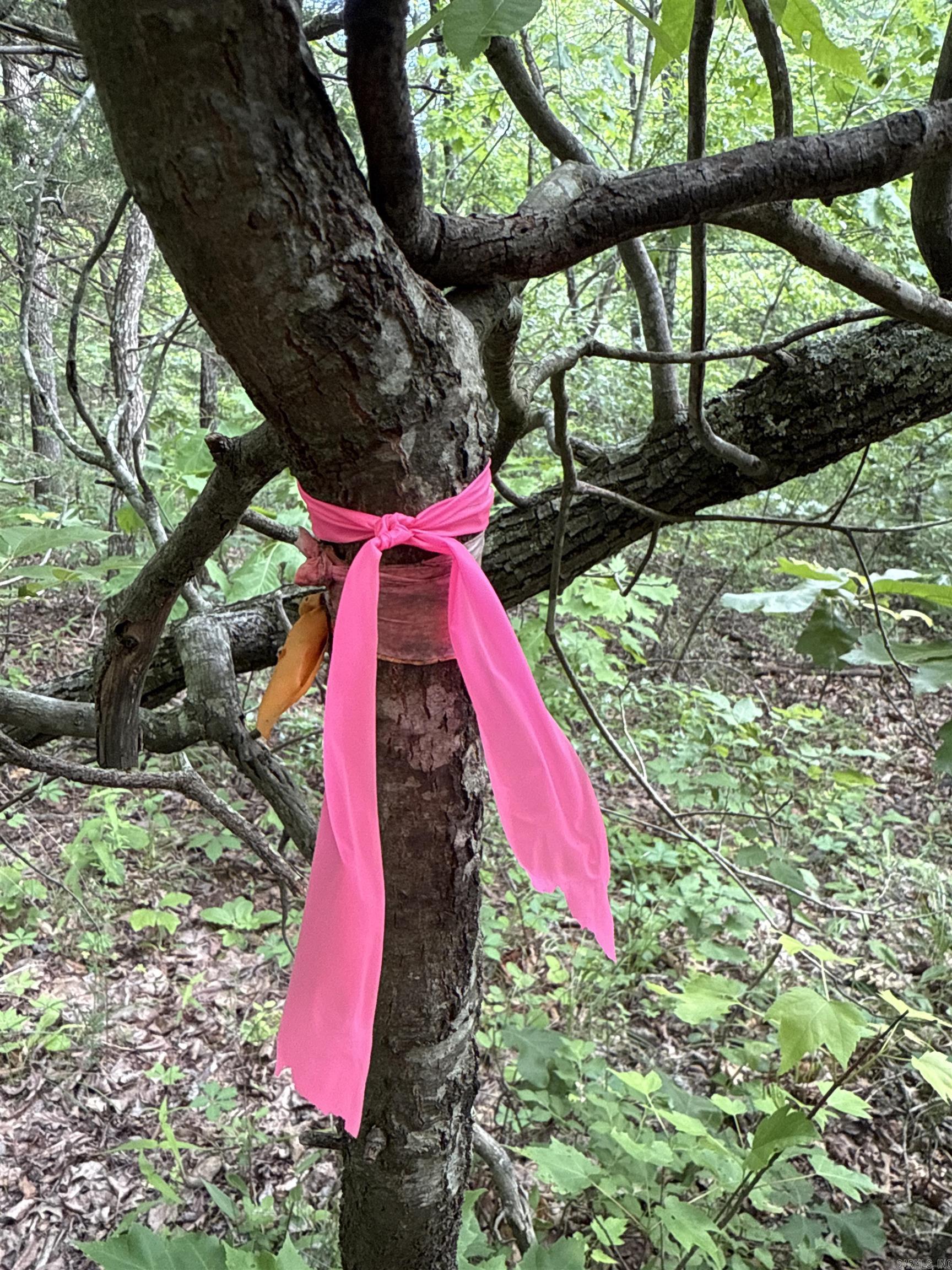 0  Red River  Marshall, AR