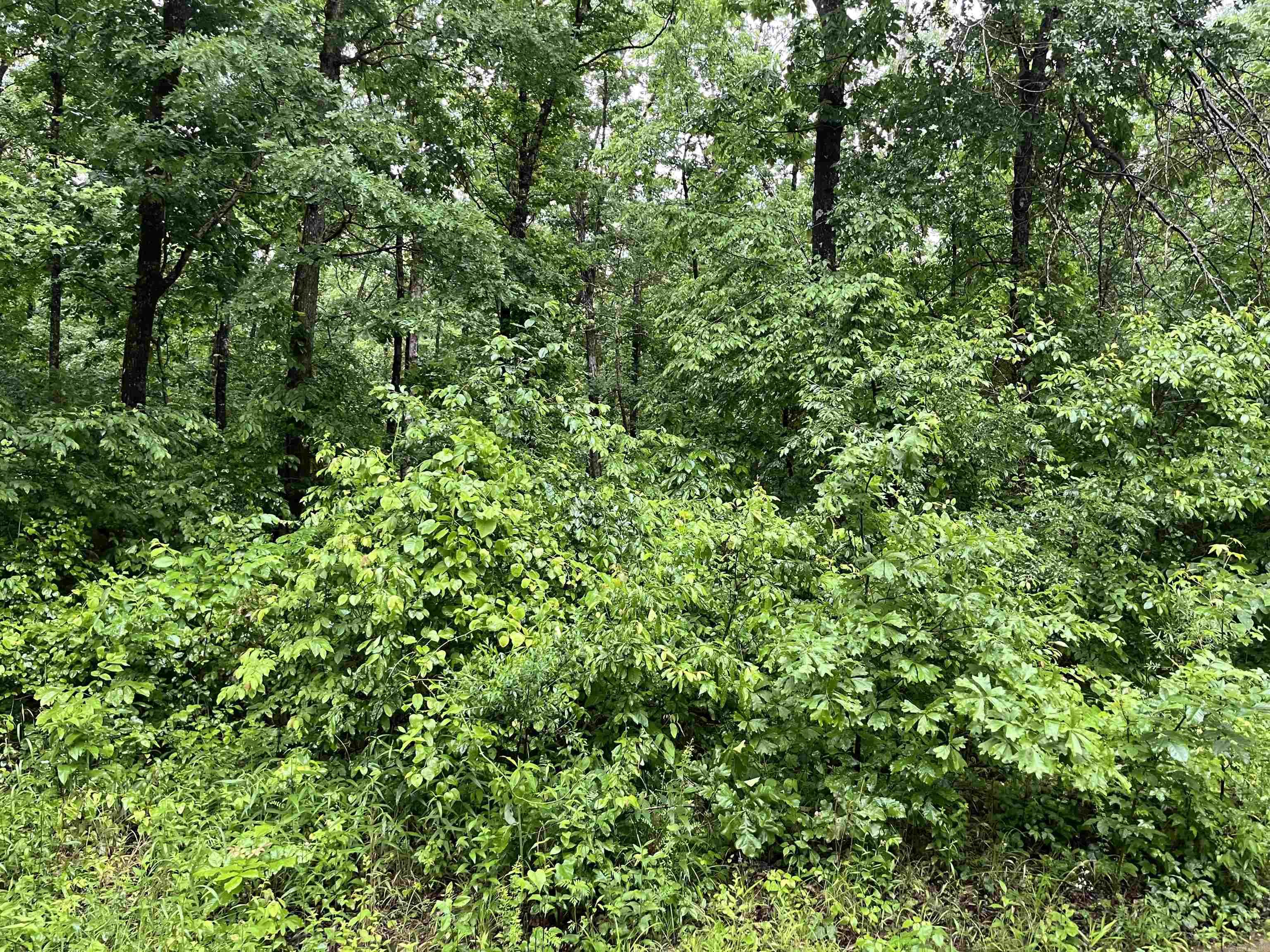 00  Endline  Marshall, AR