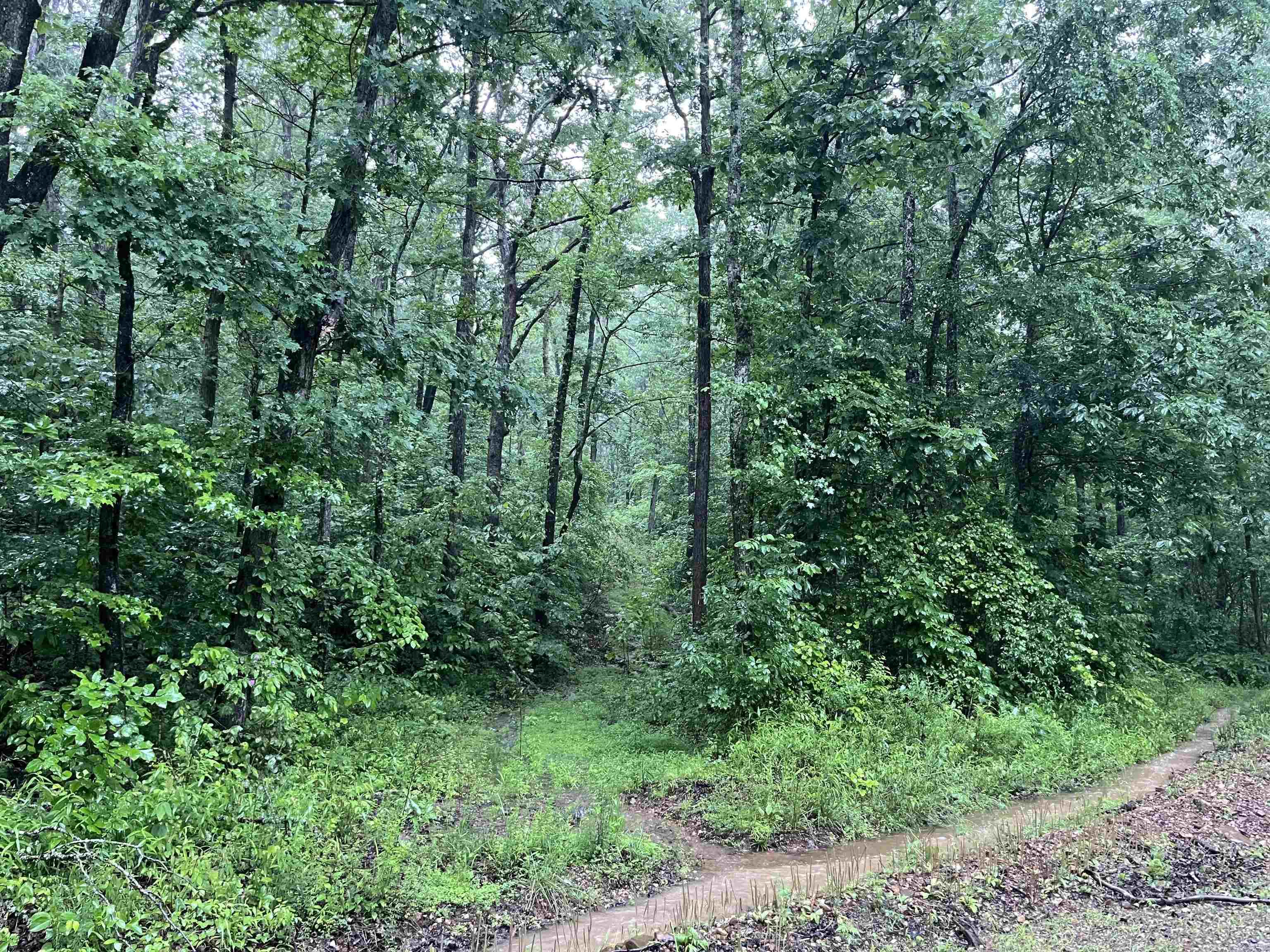 00  Endline  Marshall, AR