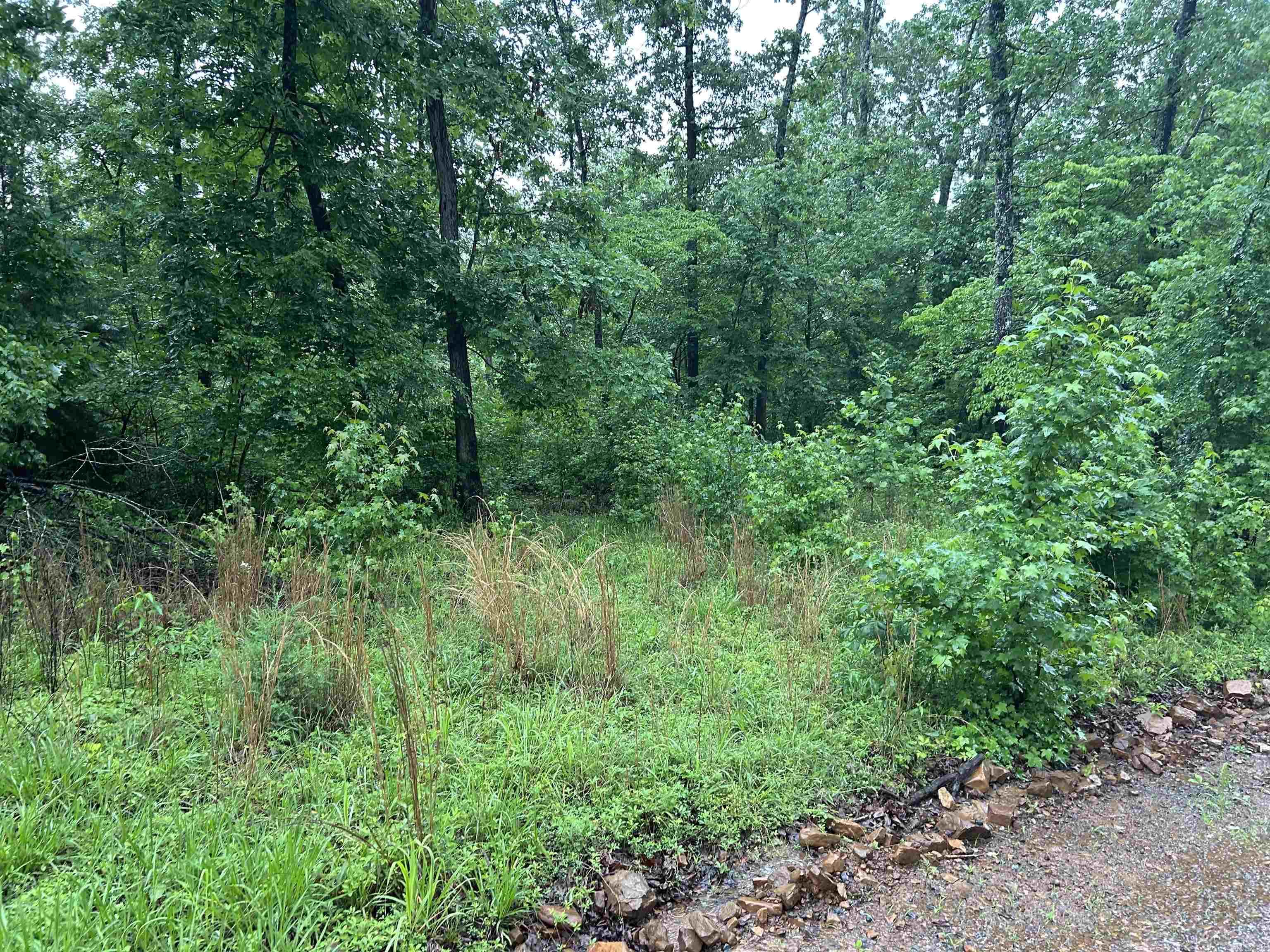 000  Endline  Marshall, AR