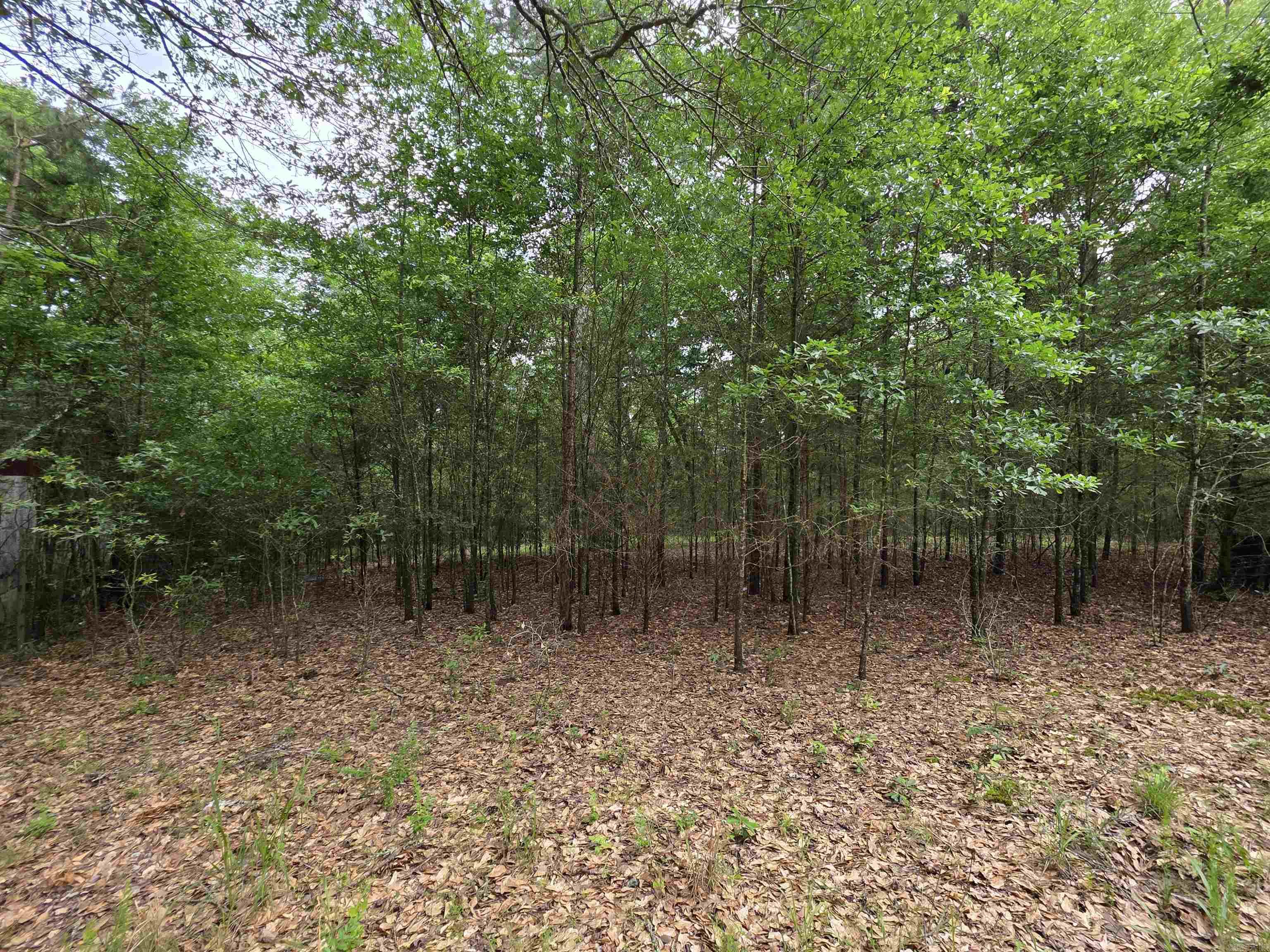 441  Polk Road 30  Hatfield, AR