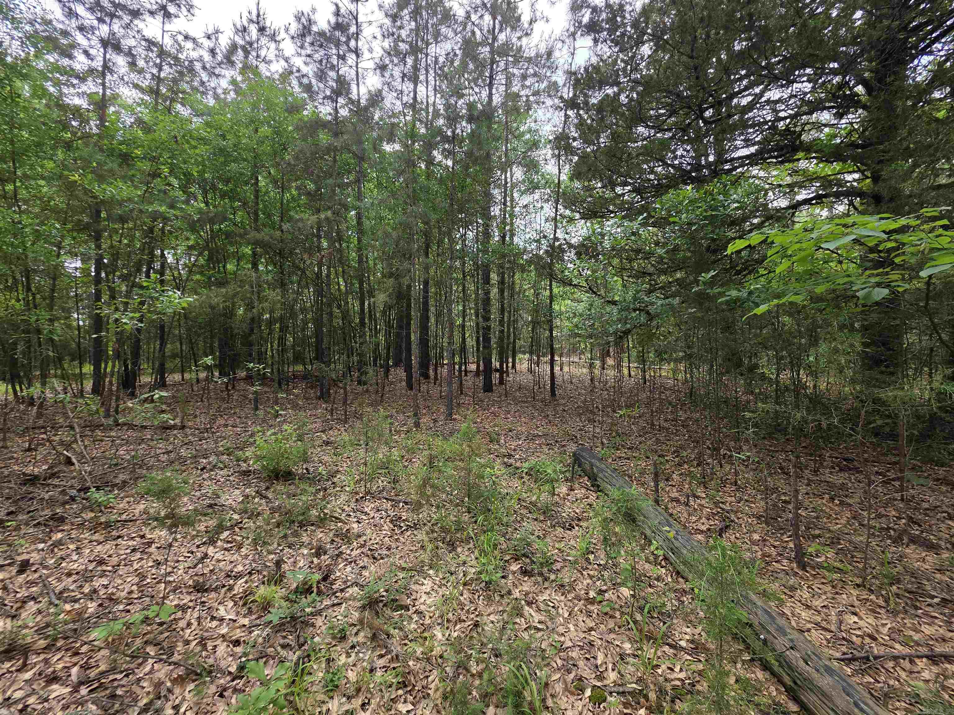 441  Polk Road 30  Hatfield, AR