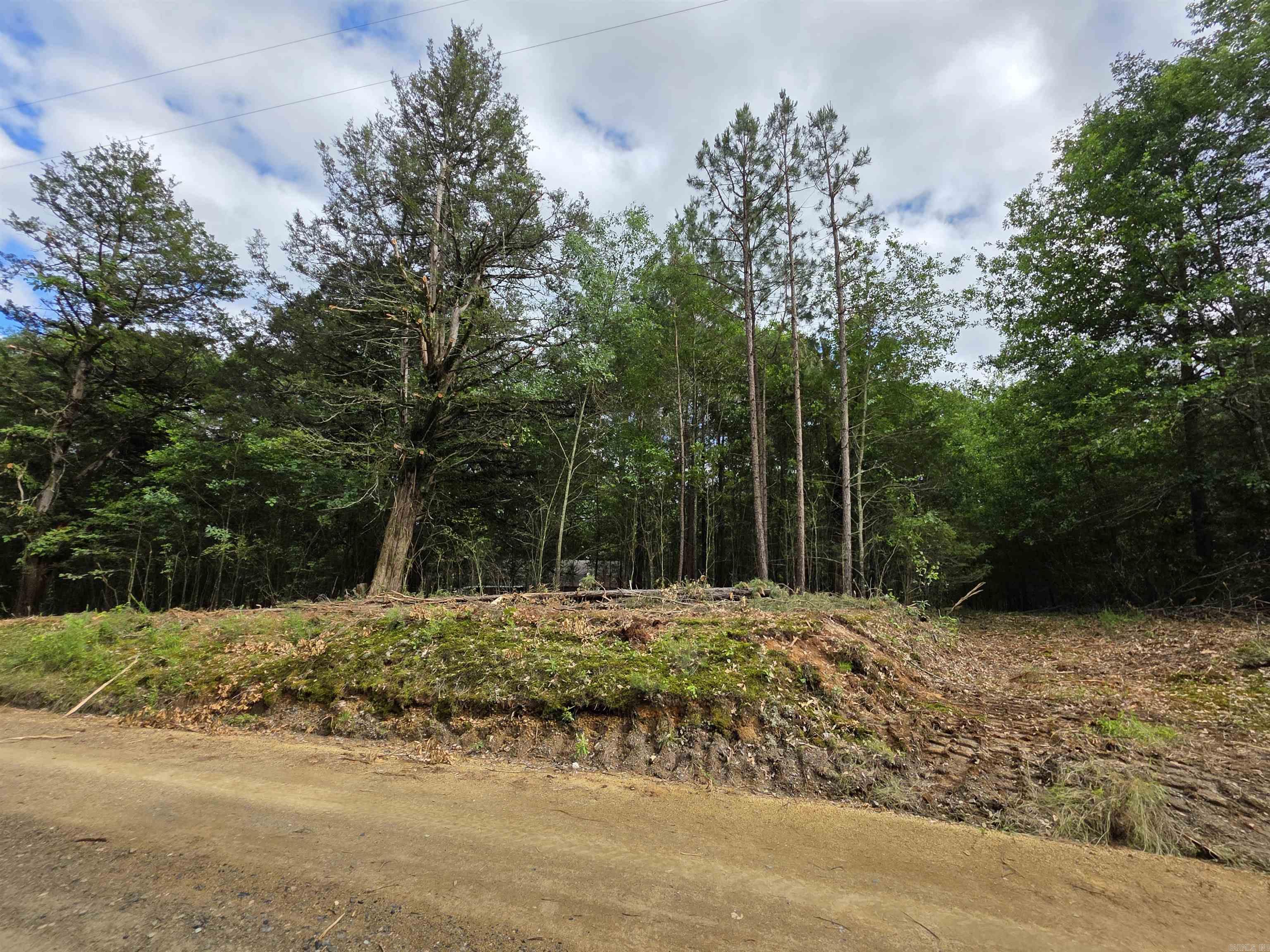 441  Polk Road 30  Hatfield, AR