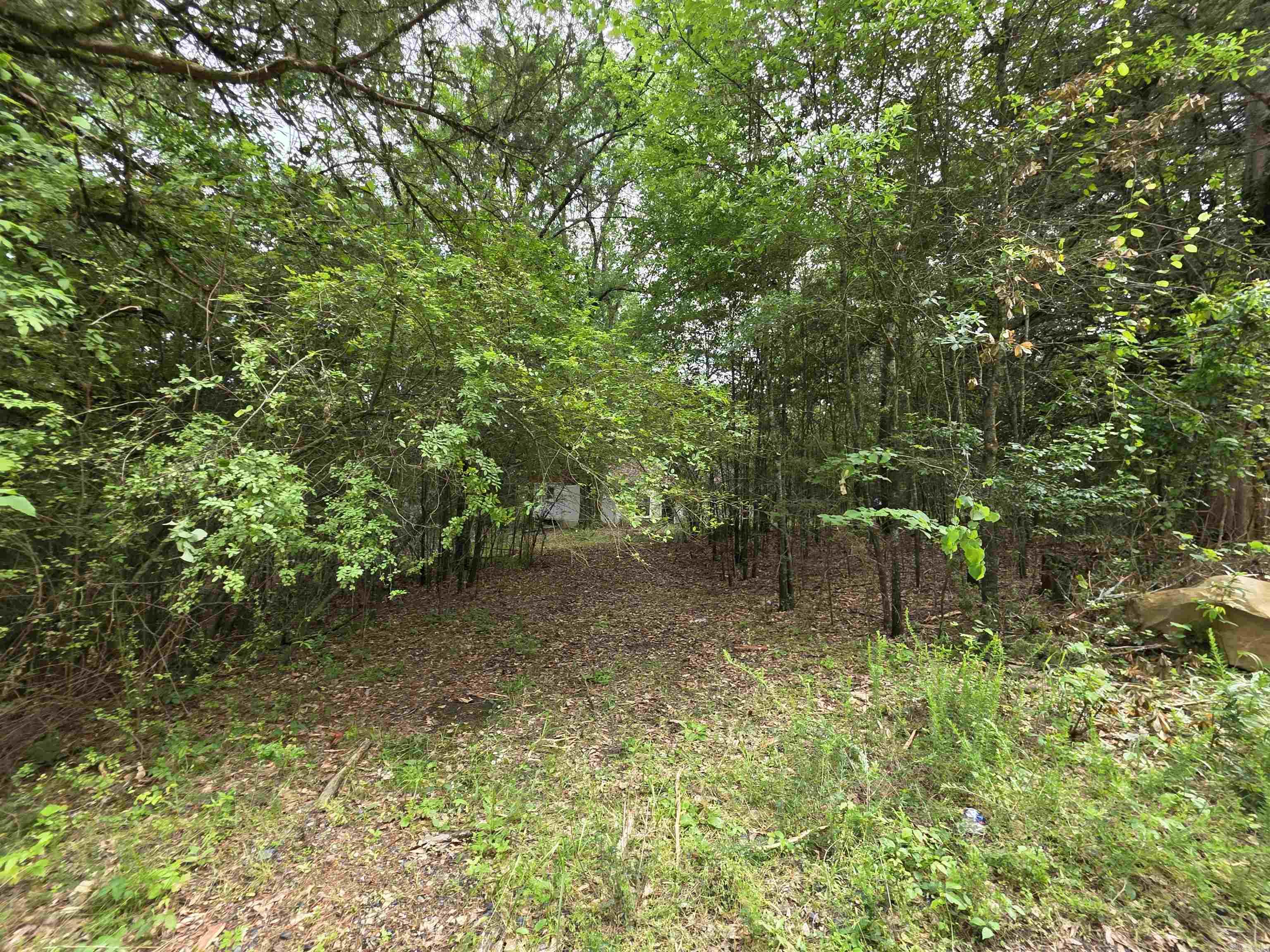 441  Polk Road 30  Hatfield, AR