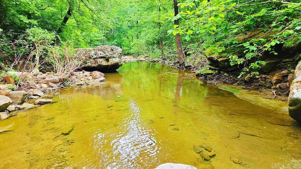 1561  Aud Road  Witt Springs, AR