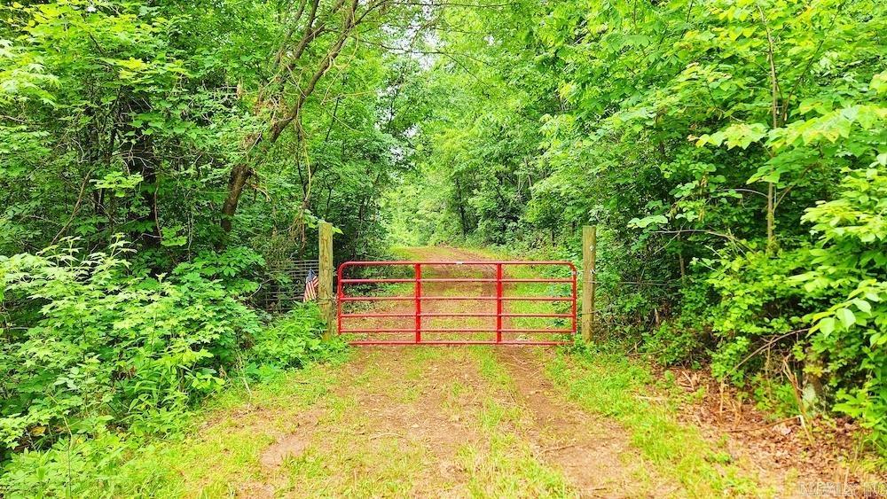1561  Aud Road  Witt Springs, AR