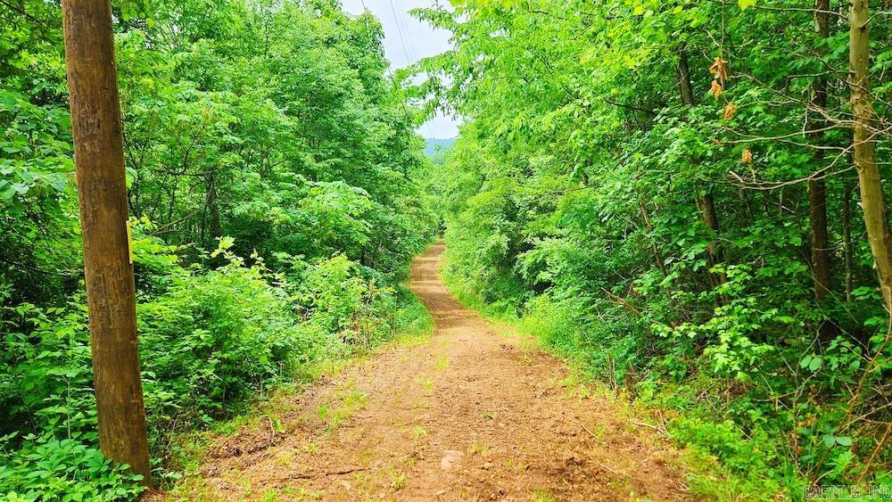 1561  Aud Road  Witt Springs, AR