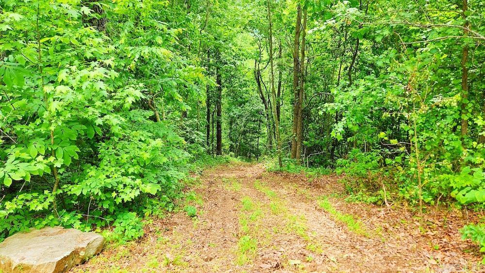 1561  Aud Road  Witt Springs, AR