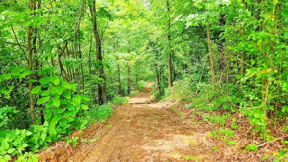 1561  Aud Road  Witt Springs, AR