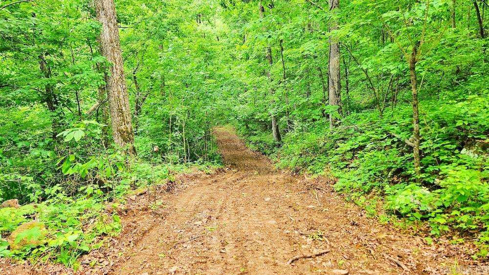 1561  Aud Road  Witt Springs, AR