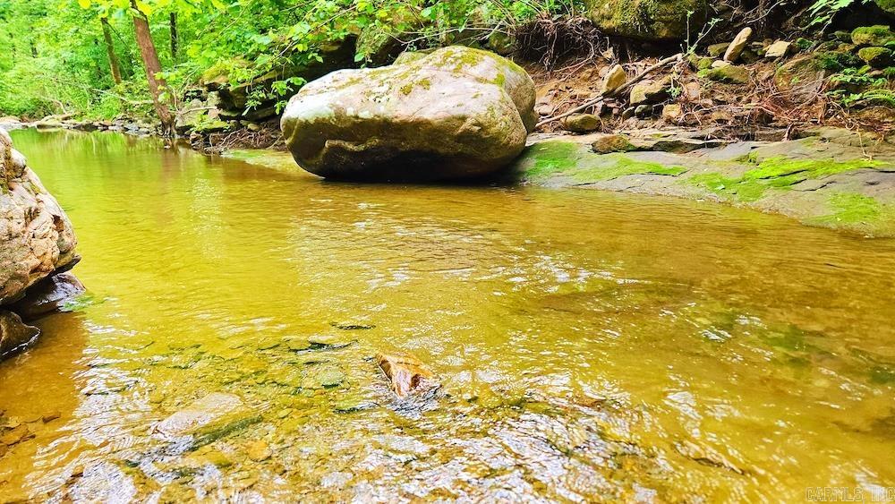 1561  Aud Road  Witt Springs, AR