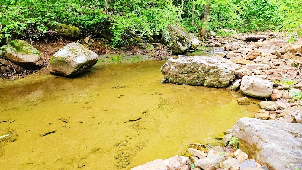1561  Aud Road  Witt Springs, AR