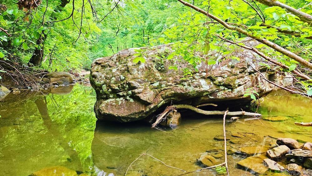 1561  Aud Road  Witt Springs, AR