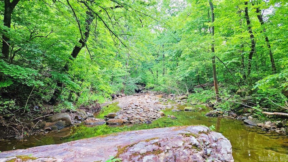 1561  Aud Road  Witt Springs, AR