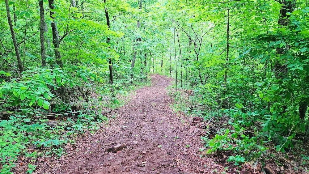 1561  Aud Road  Witt Springs, AR