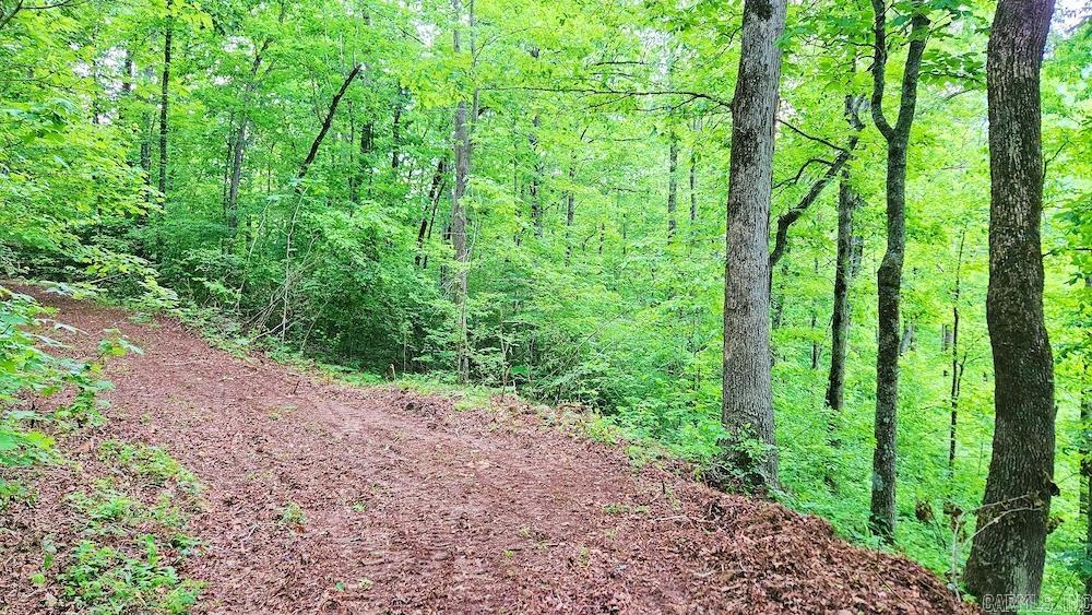 1561  Aud Road  Witt Springs, AR