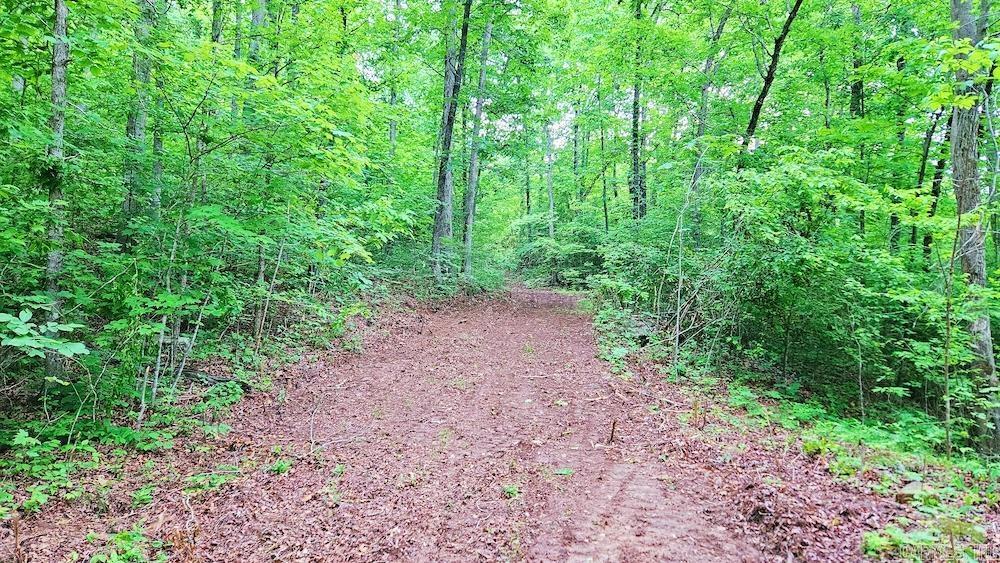1561  Aud Road  Witt Springs, AR