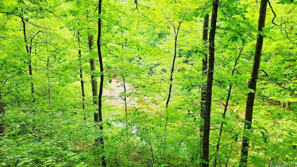 1561  Aud Road  Witt Springs, AR
