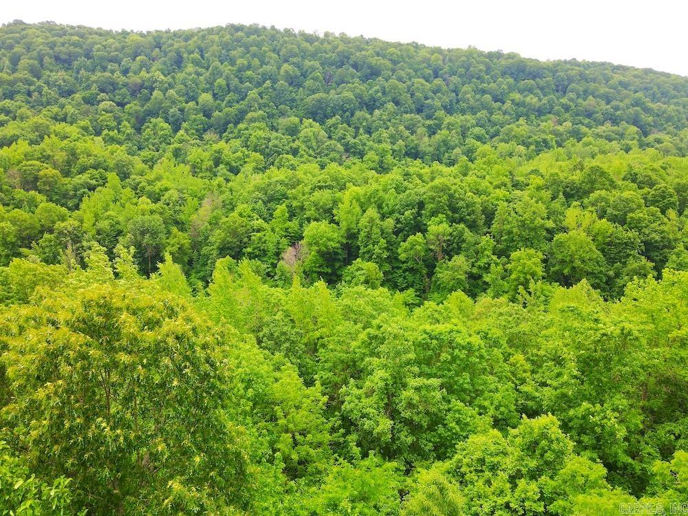 1561  Aud Road  Witt Springs, AR