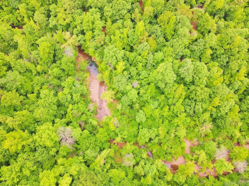 1561  Aud Road  Witt Springs, AR