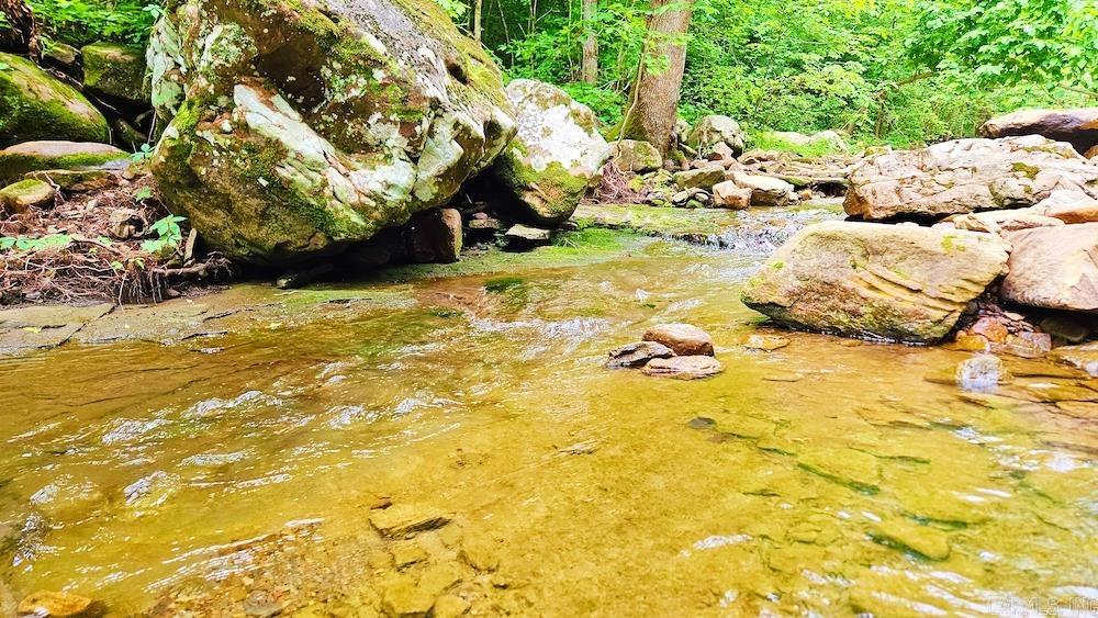 1561  Aud Road  Witt Springs, AR