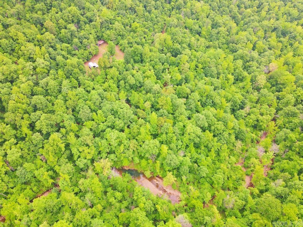 1561  Aud Road  Witt Springs, AR