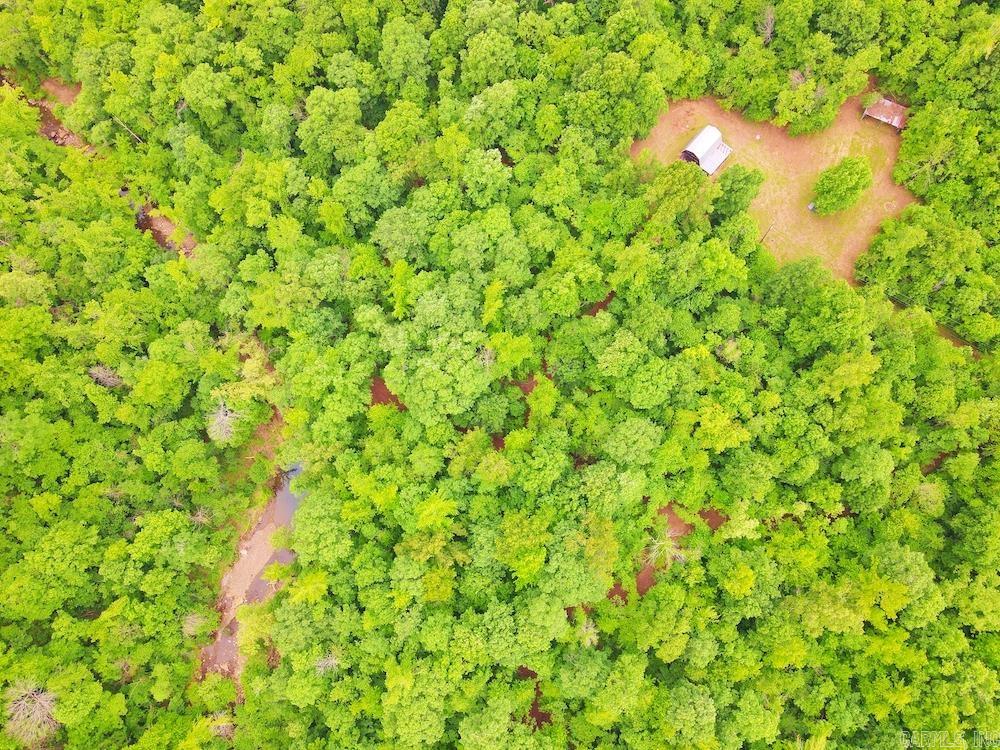 1561  Aud Road  Witt Springs, AR