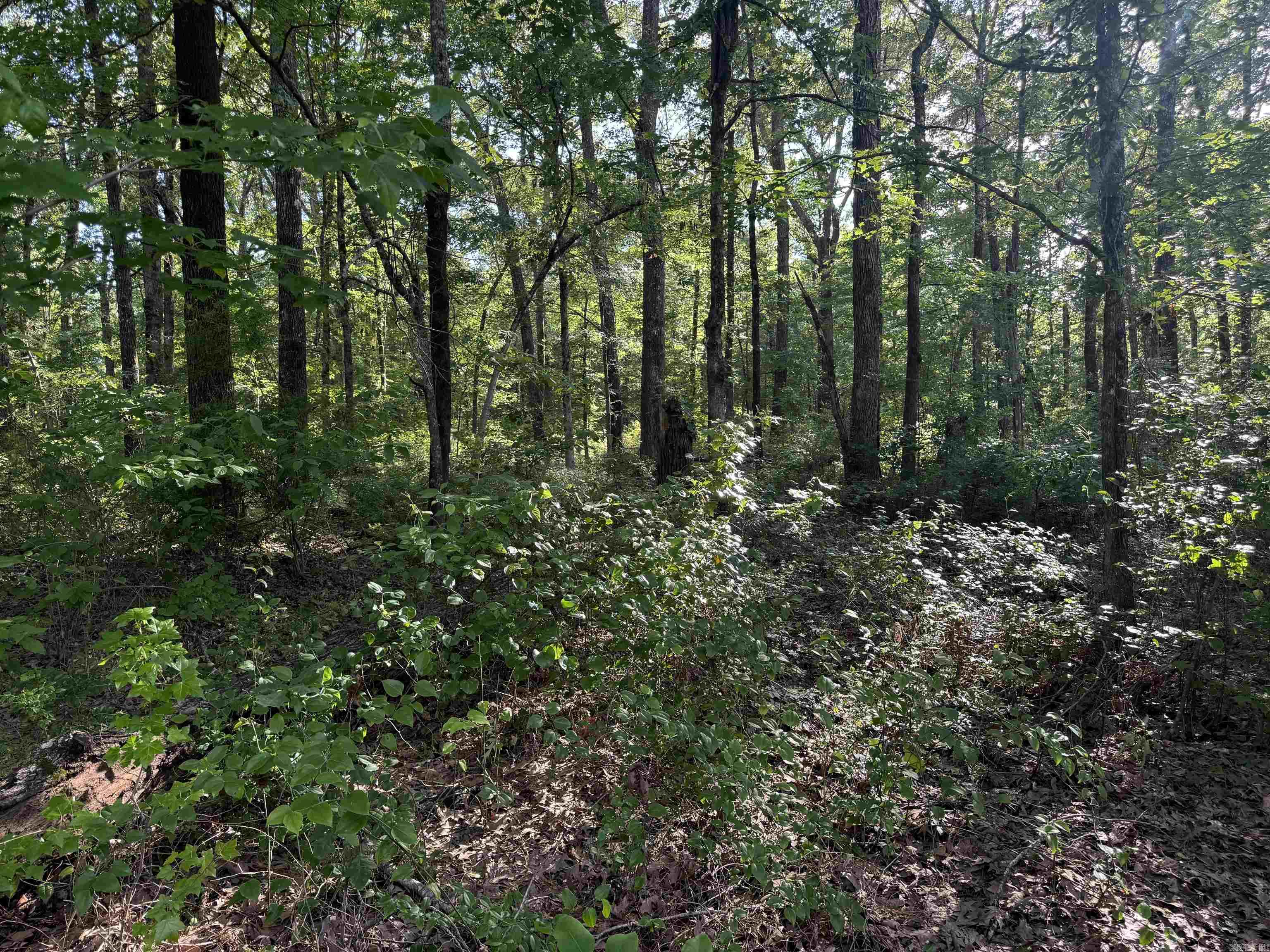   E. SERRETT ST.  Hamburg, AR