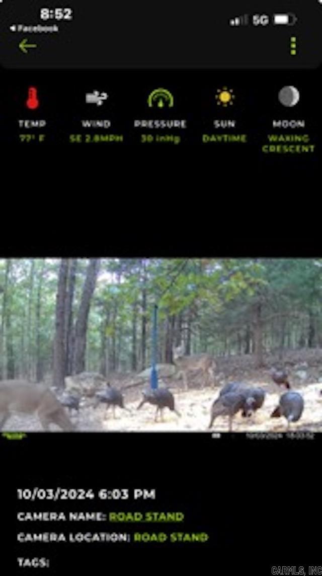 81  Wildwood Dr  Ash Flat, AR
