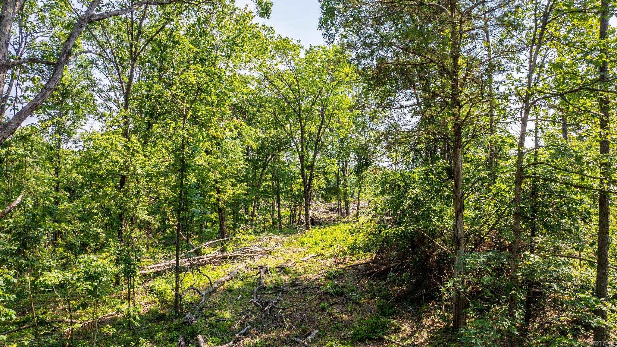 Tract 1 Harmony Mountain Road  Clinton, AR