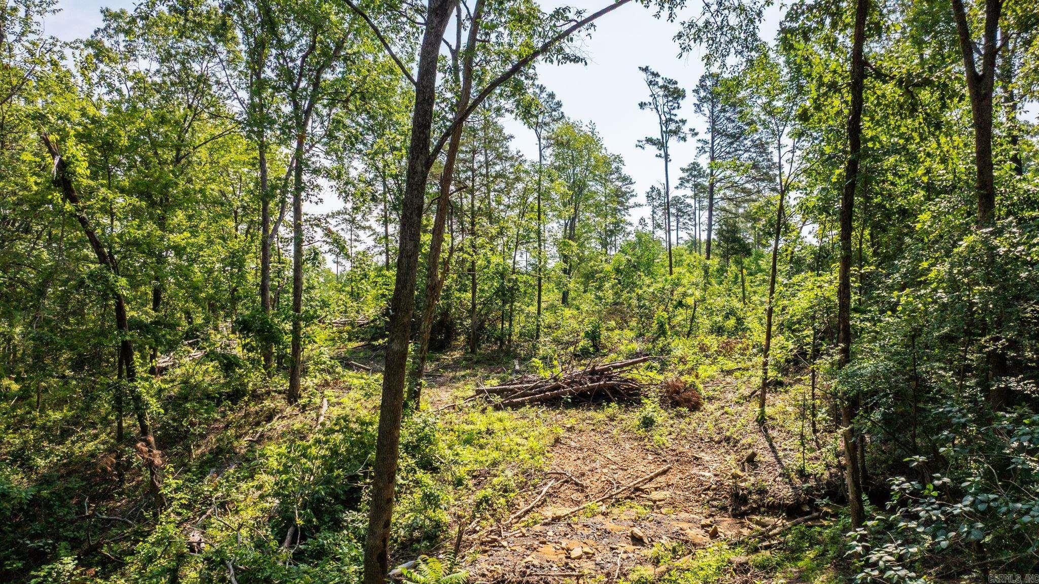 Tract 1 Harmony Mountain Road  Clinton, AR