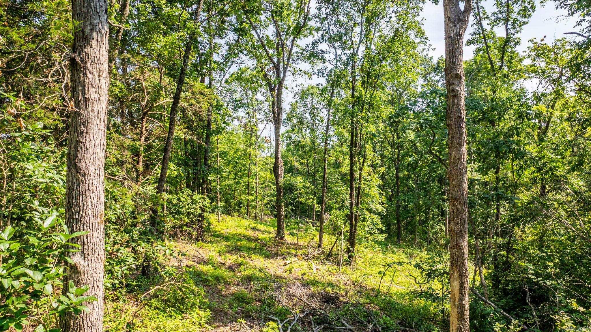 Tract 1 Harmony Mountain Road  Clinton, AR